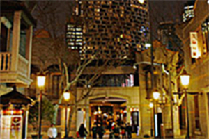 上海青年与传统手工艺的结合 上海青年与传统手工艺的结合